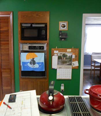 Vintage home with dark green walls and out-dated appliances