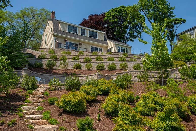 Small home on a hill surrounded by trees, bushes & plants.